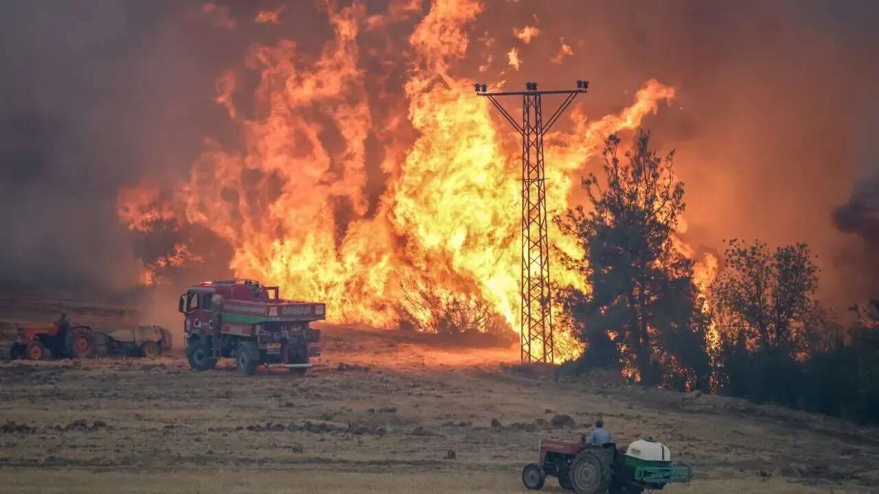 2025 yangınlarla hatırlandı: “Yangın artık bir güvenlik sorunu değil, varoluş meselesi” 5